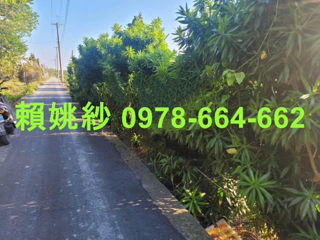 田尾農地-0