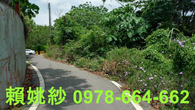 彰化社頭農地-2