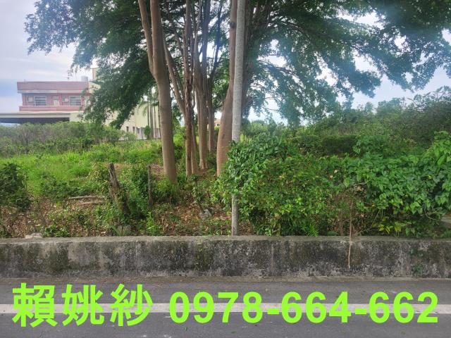 彰化永靖農地-2