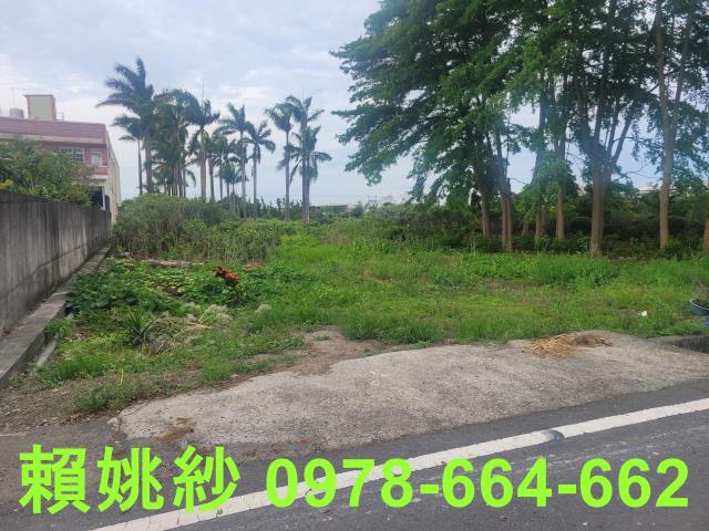 彰化永靖農地-3