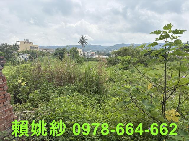 員林農地-1